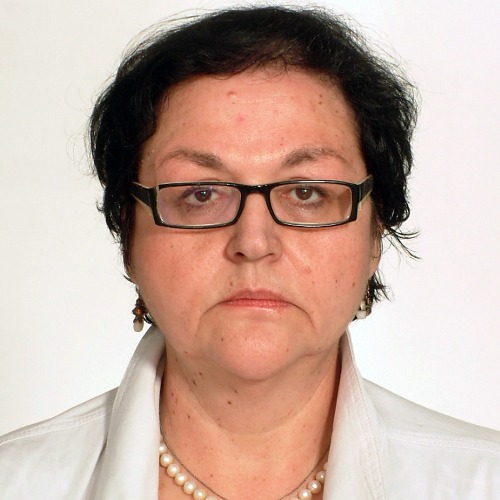 H.E. Gordana Čomić