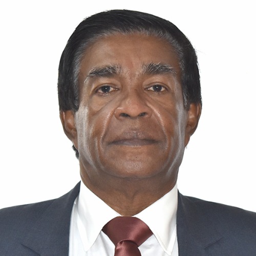 H.E. Prithvirajsing Roopun