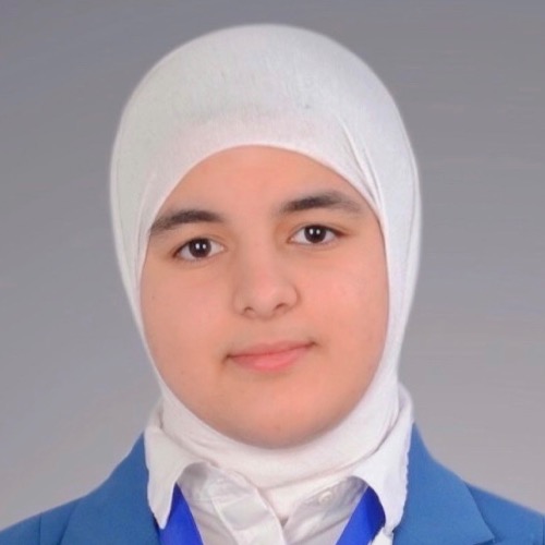 حوراء ميرزا